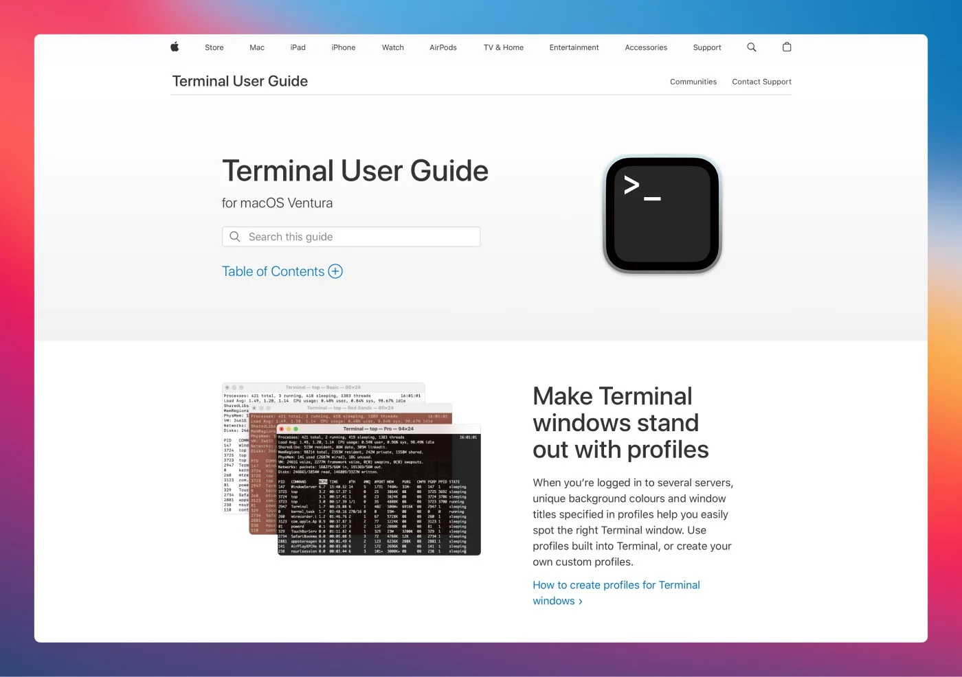 Built-in Git Client: Terminal
